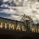 Animal Kingdom - Entry Facade